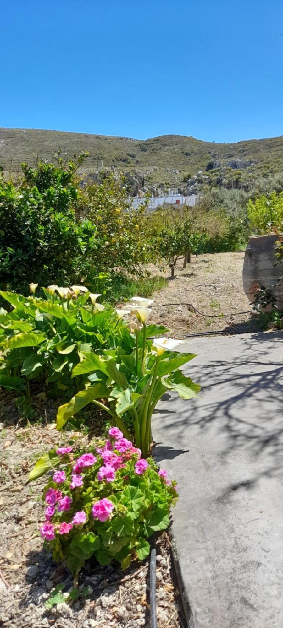 Margarita'S Stone House Apartment Platanos  ห้อง รูปภาพ
